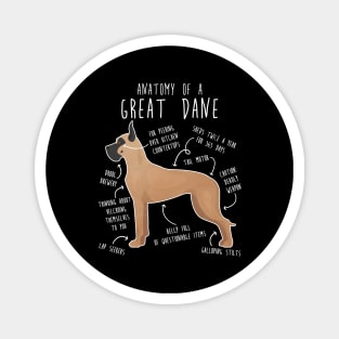 Cropped Fawn Great Dane Dog Anatomy Magnet